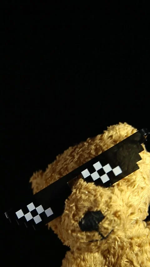 Vertical video of plush bear dark background Stock Footage 241999219