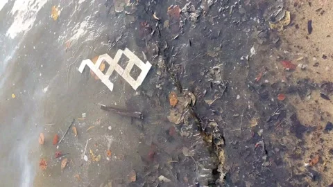 Vertical video of polluted beach Stock Footage 143943549
