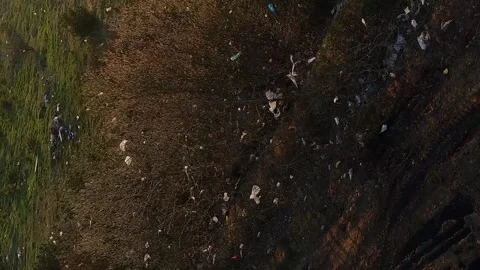 Vertical video. Pollution by plastic bags. Plastic garbage hangs on the trees. Stock-Footage 260459115