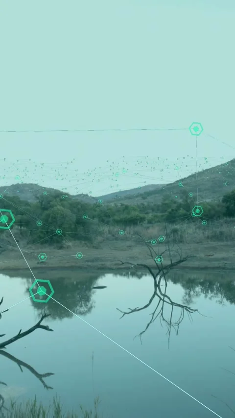 Vertical video: Pond reflecting tree as teal nodes appearing and projecting pins Video stock 334378836