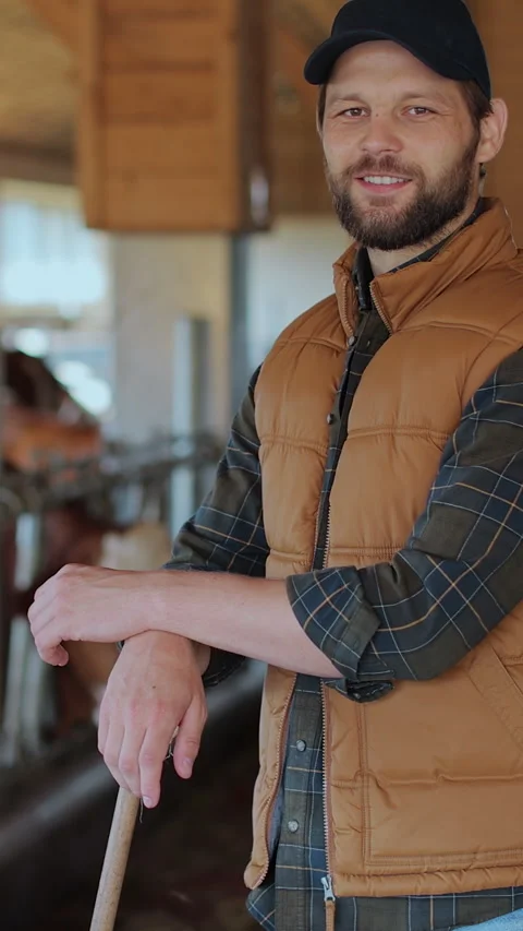 Vertical video. Portrait of a farmer tending to cows in a clean barn. Stock Footage 344629242