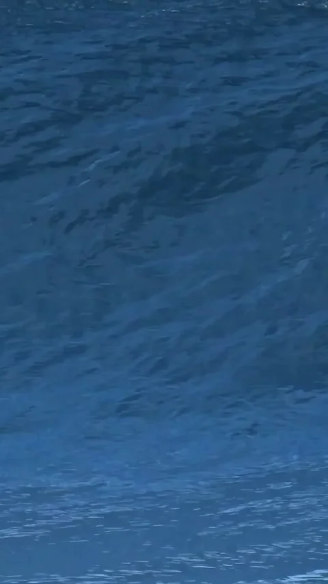 Vertical video of powerful blue wave in Indian Ocean Stock Footage 316181051