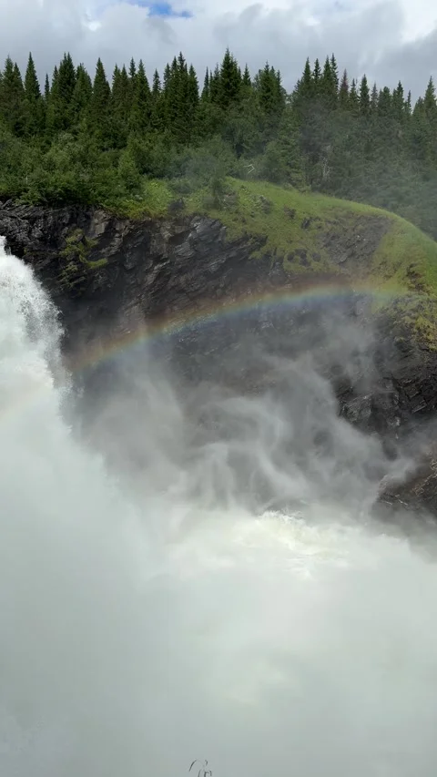 Vertical video of powerful waterfall cascading with white mist in forest Stock Footage 315358542
