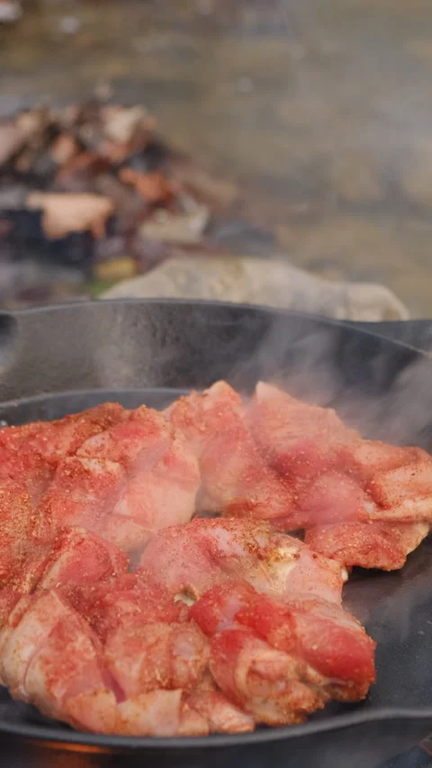 Vertical video of process cooking chicken fillet in frying pan near clear river Stock Footage 299702284