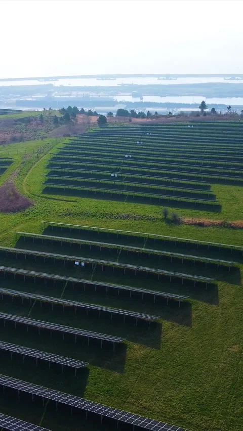Vertical Video Pushing Drone Clip of Modern Solar Panel Array in UK. Stock Footage 333384948