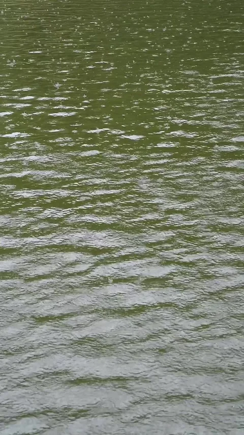 Vertical video of rain drops falling onto a dark water surface background Stock Footage 344047472