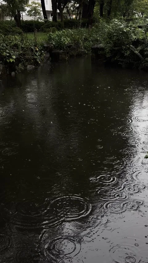 Vertical video of raindrops falling on water surface in rain Stock Footage 346703941