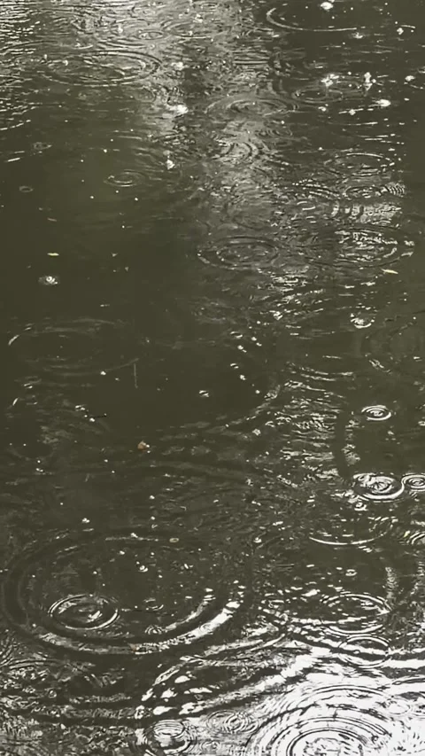 Vertical video of raindrops falling on water surface creating ripples Stock Footage 346703991