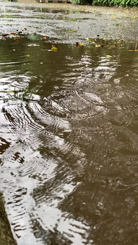 Vertical video of raindrops Stock Footage 320521895