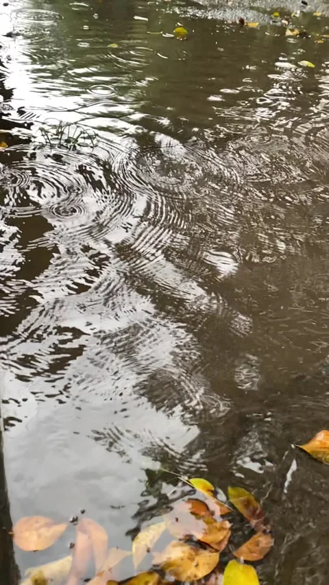 Vertical video of raindrops Stock Footage 320521896