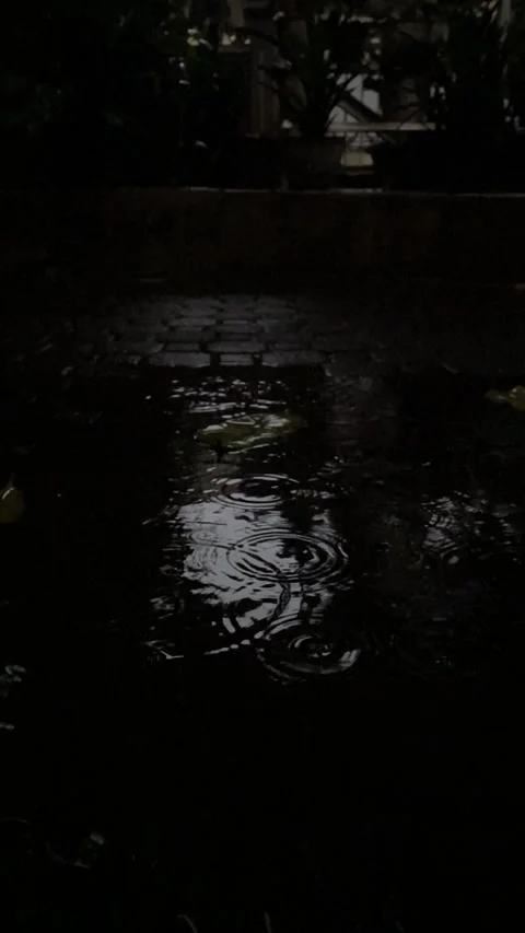 Vertical video of raindrops Stock Footage 326310231