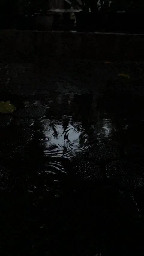 Vertical video of raindrops Stock Footage 326310267