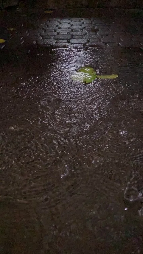 Vertical video of raindrops Stock Footage 326310652