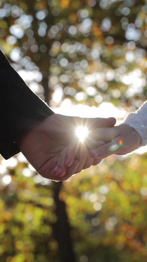 Vertical video. A ray of sunshine shines between the hands of bride and groom Stock Footage 293733285