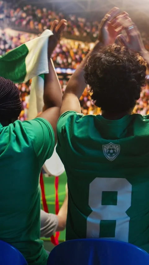 Vertical video Rear view of soccer supporters in stadium applauding players Stock Footage 341678572