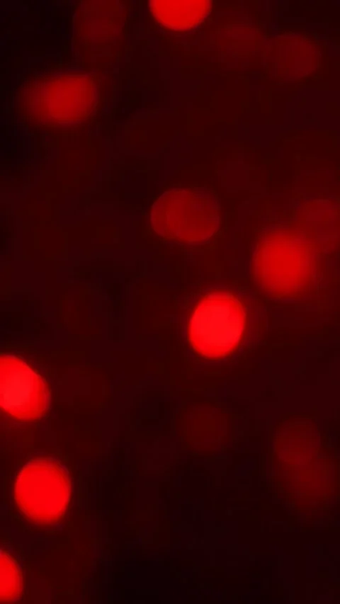 Vertical video of red bokeh Stock Footage 247827450