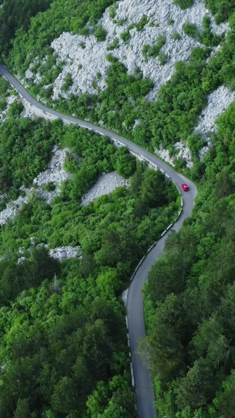 Vertical Video: RED bright car drives on the road in the forest in the mountains Stock Footage 303533953