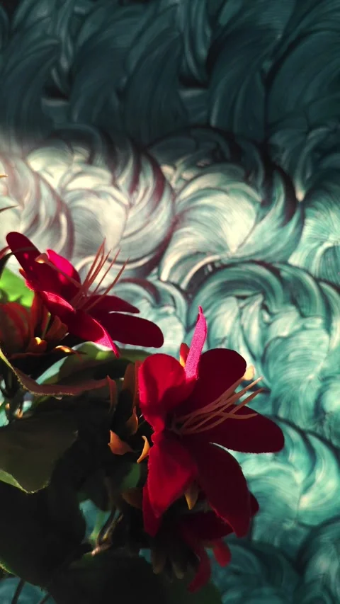 Vertical Video Red Flowers Moving in Sunlight with Textured Wall Background. Stock Footage 330104463