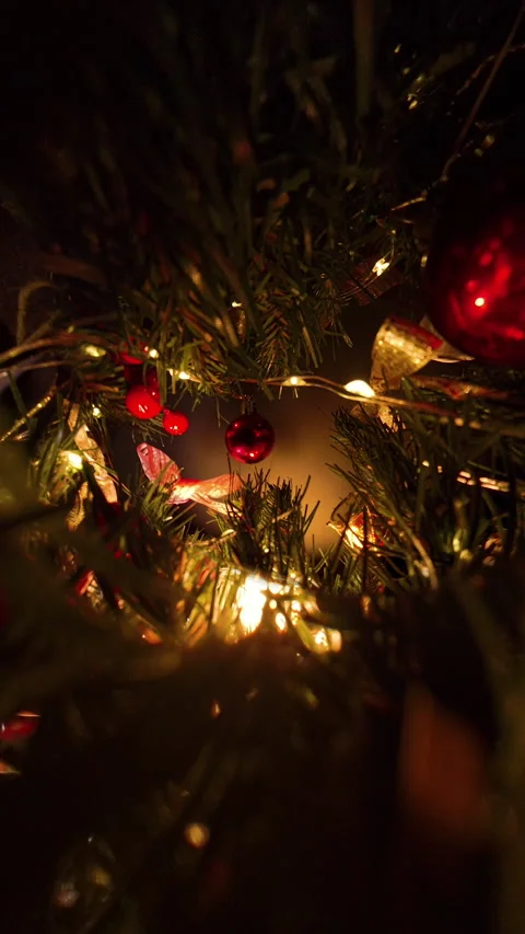 Vertical video. Red Ornament Surrounded by Flickering String Lights on Dense Stock Footage 316783914