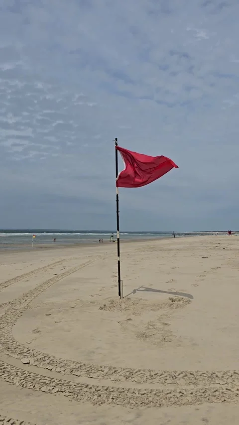 Vertical video of the red warning flag flies in the wind on a clean sandy beach Stock Footage 312335248