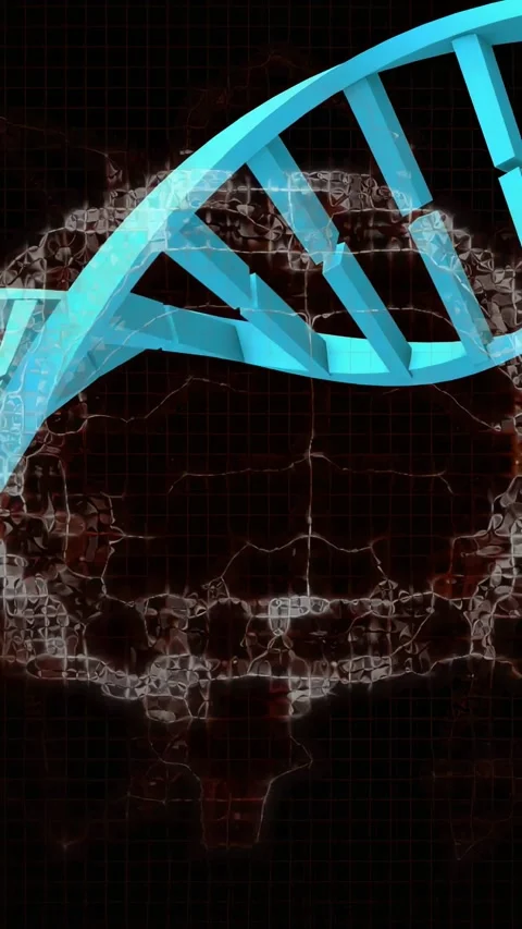 Vertical video: On reveal, cyan bars forming rotating helix on brain map, camera Stock Footage 329703477
