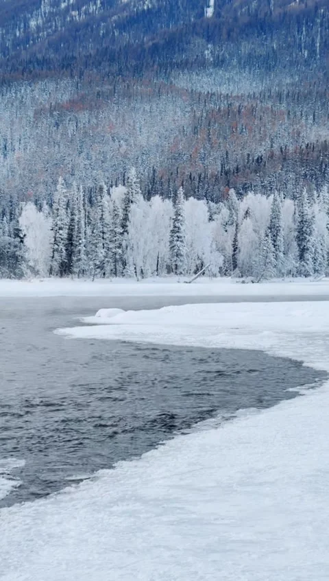 Vertical video of rime-covered forest and misty unfrozen river in winter, Ka Video stock 325514086