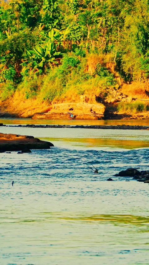 Vertical video of river and forest bank Video stock 336318182