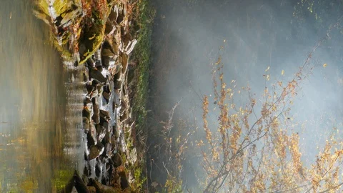 Vertical Video. The river in the autumn forest. Autumn landscape. Video stock 129506909
