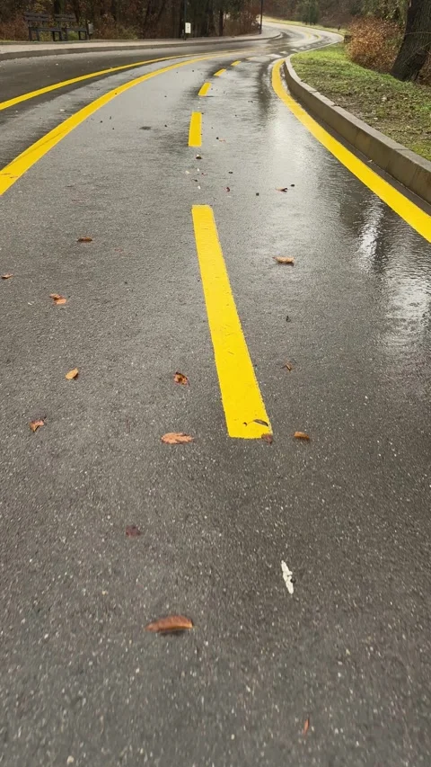 Vertical video road yellow lines wet path Stock Footage 294188723