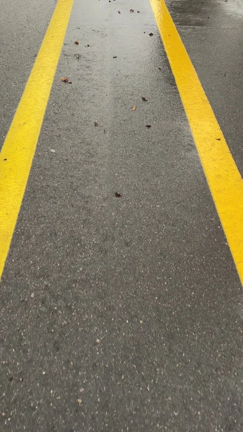 Vertical video road yellow lines wet path Stock Footage 294188767