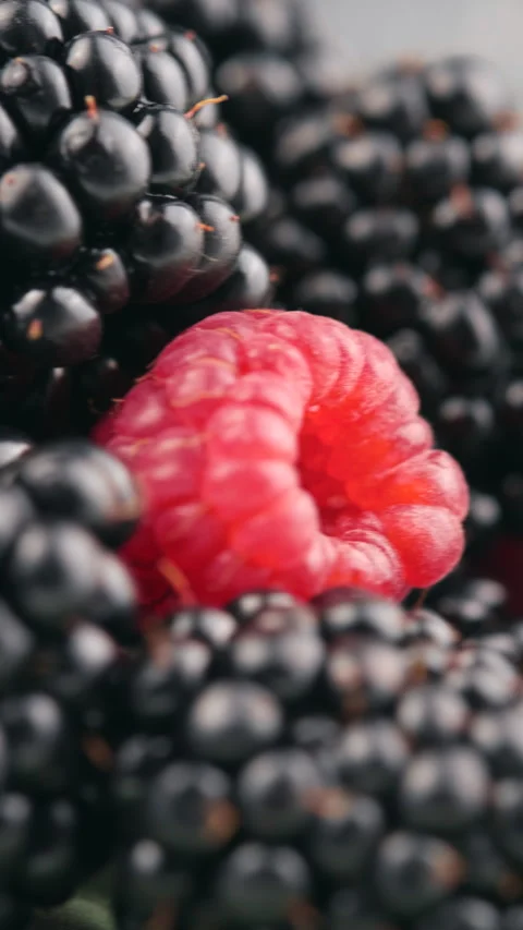 Vertical video of rotation fresh red raspberries and blackberries Video stock 284085034