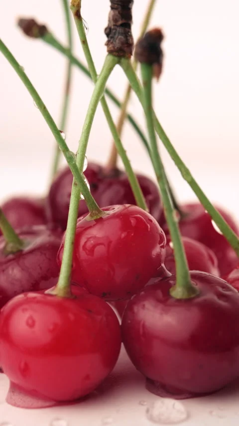 Vertical video of rotation ripe cherries with water drops on white background Stock Footage 280248407