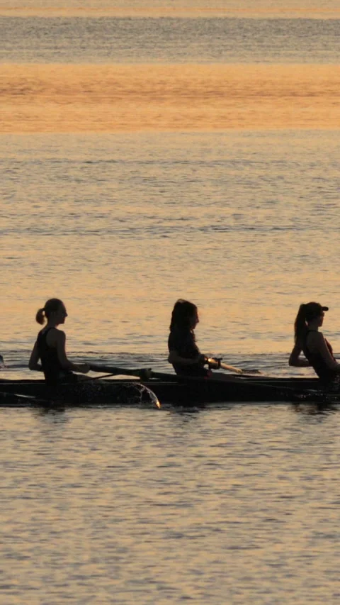 High Rowing Video Stock Videos – Royalty-Free HD & 4K Videos | Pond5