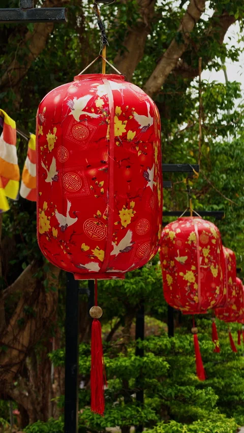 Vertical video. Rows of Red Lanterns hanging in a Slight Low Angle shot with Flo Stock Footage 323681163
