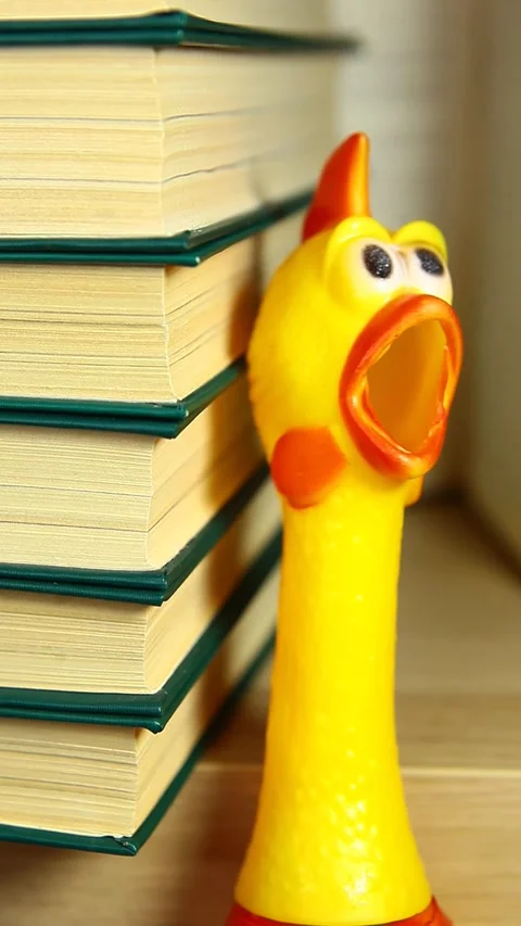 Vertical video of rubber chicken book background Stock Footage 240722013