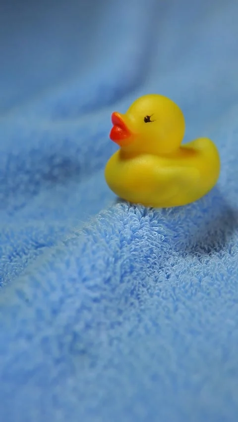 Vertical video of rubber duck towel background Stock Footage 245349948