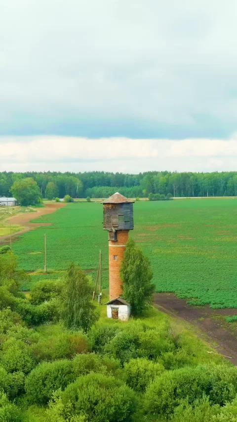Vertical video. Russia, Ural. Flying over the fields. Rows of growing potatoes. Stock Footage 335859032