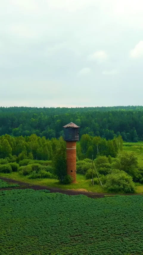 Vertical video. Russia, Ural. Flying over the fields. Rows of growing potatoes. Stock Footage 336063239