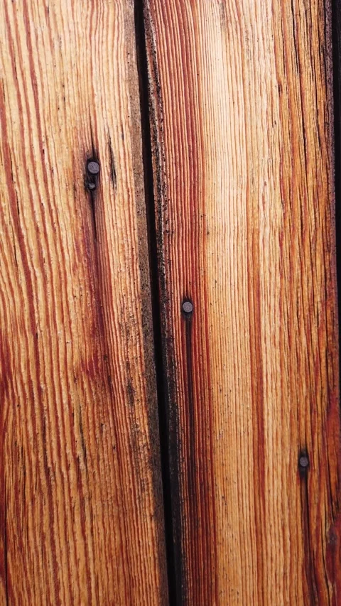 Vertical video of rustic timber knot texture with natural grain patterns Stock Footage 345587746