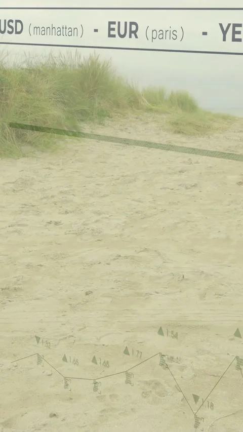 Vertical video: Sandy path static, camera panning, overlay sliding chart and FX Stock Footage 332823541