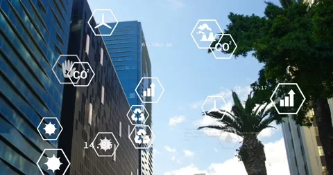 Vertical video: Scan initiating, palm tree anchoring floating sustainability Stock Footage 331333635