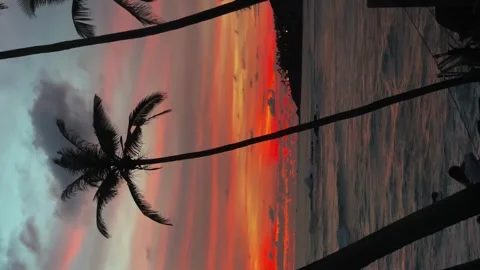 Vertical video. a scarlet sunset on the seashore.  Stock Footage 276093967