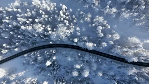 Vertical video. Scenic road through a snowy winter mountain forest Stock Footage 259632732
