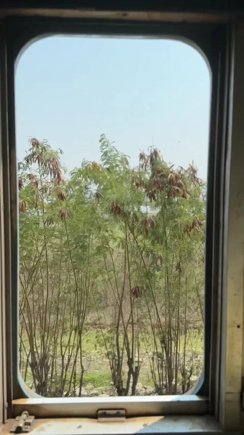 Vertical video scenic view from window train running through water reservoir. Stock Footage 266994356