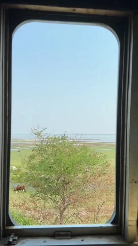 Vertical video scenic view from window train running through water reservoir. Stock Footage 266994451