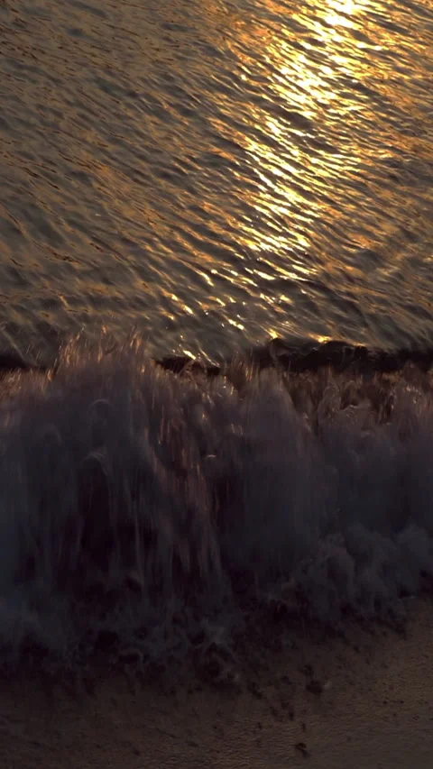Vertical video, Sea and Waves at Sunset Vídeo Stock 313237483