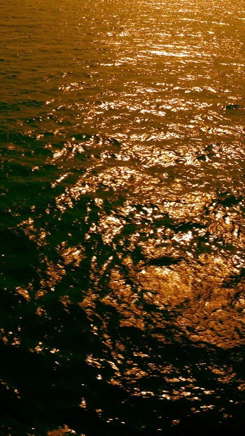 Vertical video, sea at sunset 動画素材 295641083