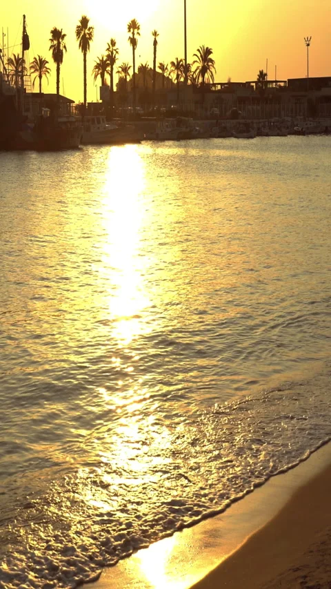 Vertical video, Sea at sunset 스톡 동영상 313237501