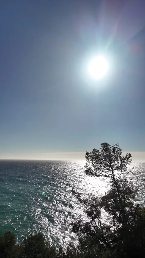 Vertical video of sea view with tree, bright sun and reflection on the water Stock Footage 270733688