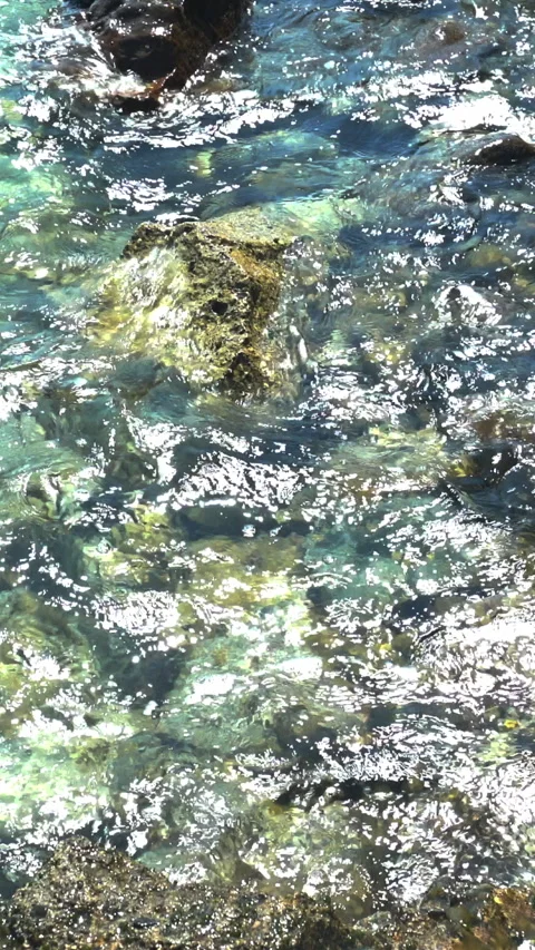 Vertical video, Sea waves 動画素材 283167942